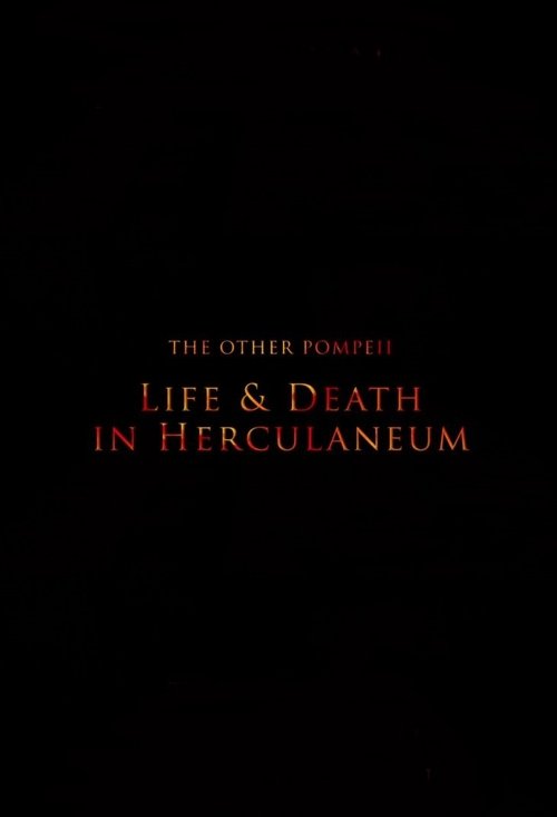 The Other Pompeii: Life & Death in Herculaneum (2013) poster