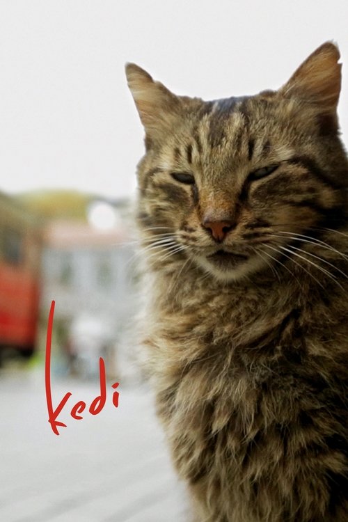 Kedi (2017) poster