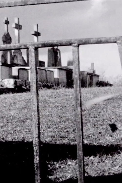 Passport Is Sound (2021) poster