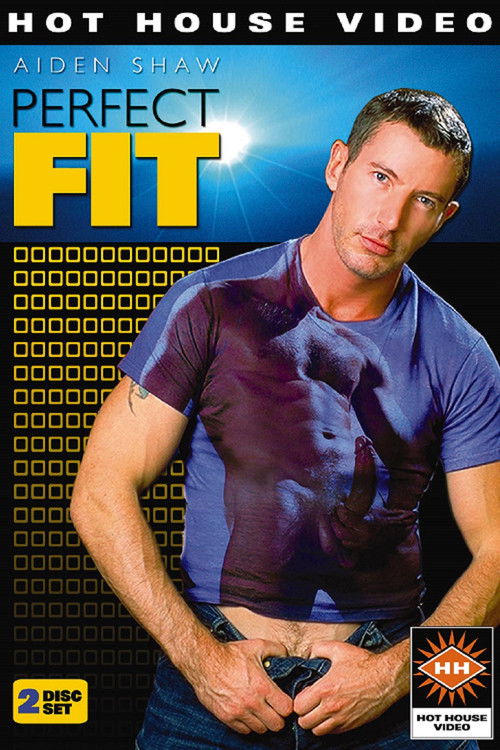 Perfect Fit (2003) poster