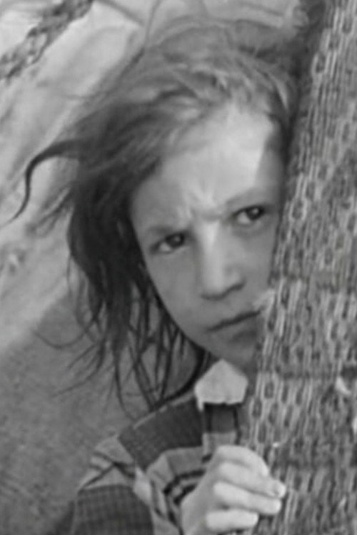 They Come Across the Borders (1961) poster