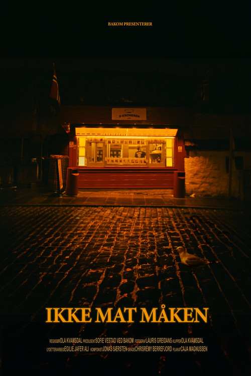 Don't Feed the Seagull (2024) poster