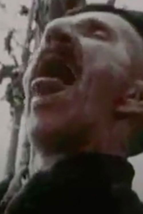 Il vero naif (1962) poster