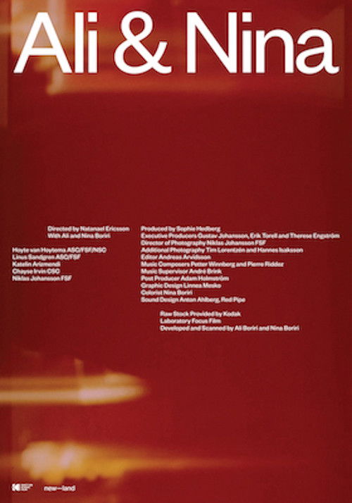 Ali & Nina (2020) poster