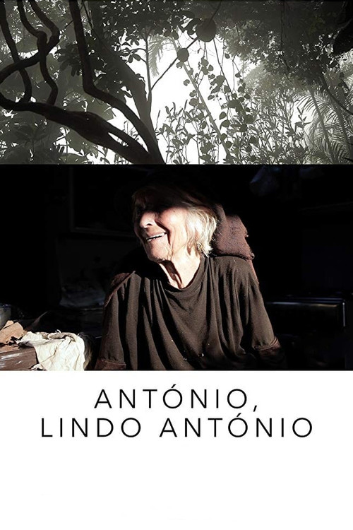 António, Dashing António (2016) poster