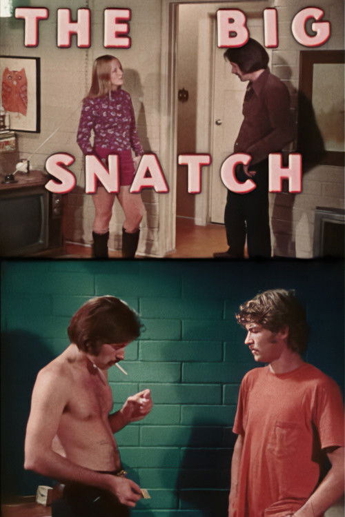 The Big Snatch (1971) poster