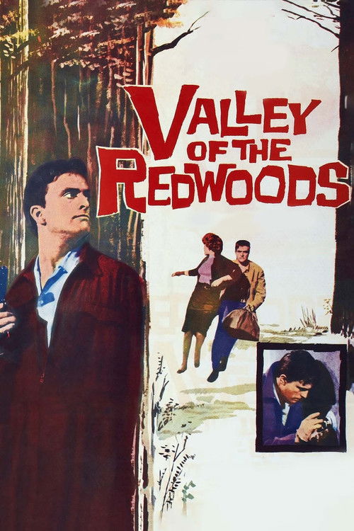 Valley of the Redwoods (1960) poster