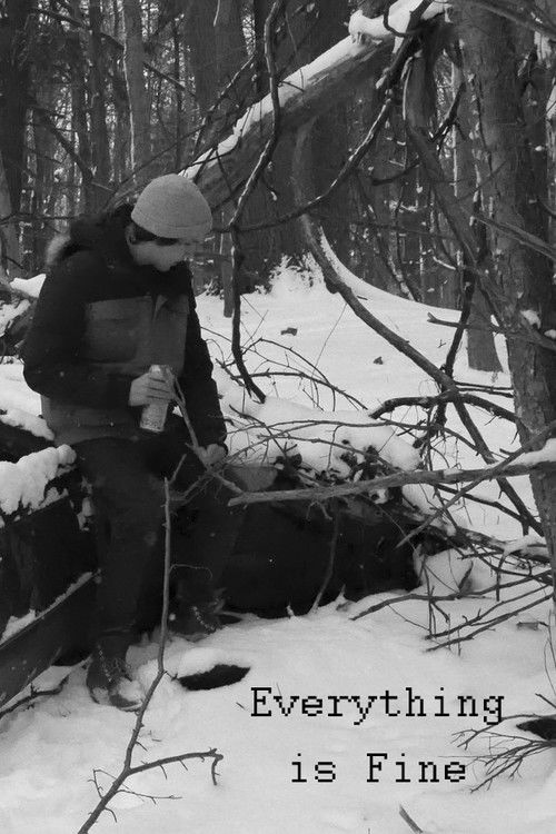 Everything is Fine (2019) poster