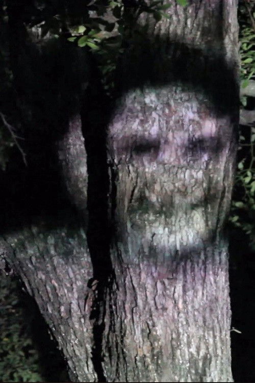 Is it true what they say (2015) poster