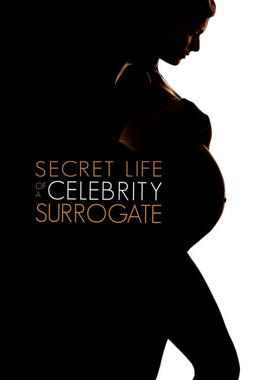 Secret Life of a Celebrity Surrogate (2020) poster