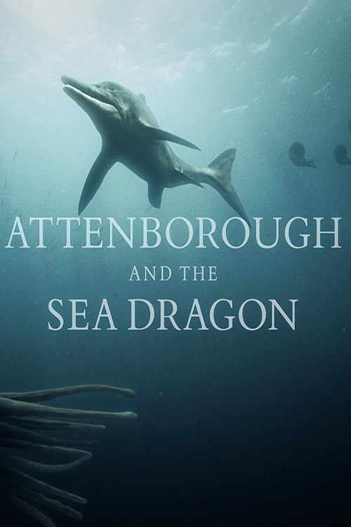 Attenborough and the Sea Dragon (2018) poster