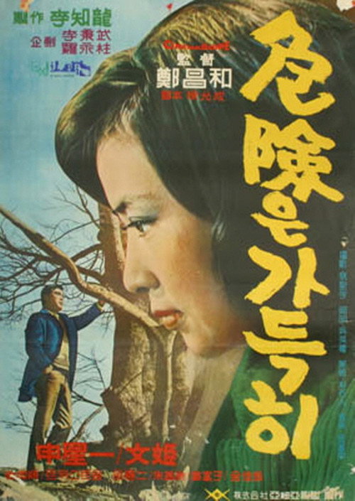 A Full Danger (1967) poster