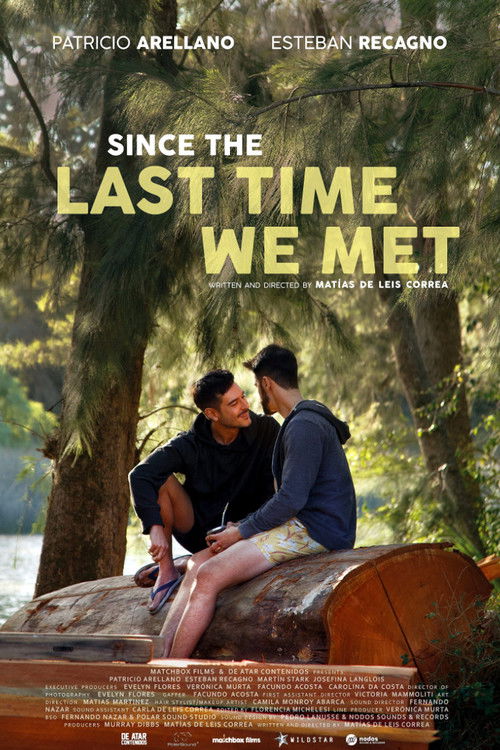 Since the Last Time We Met (2023) poster