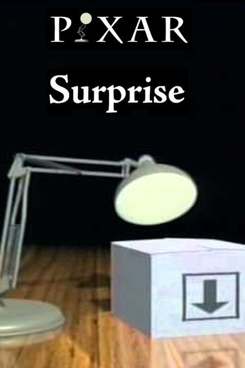 Surprise (1991) poster