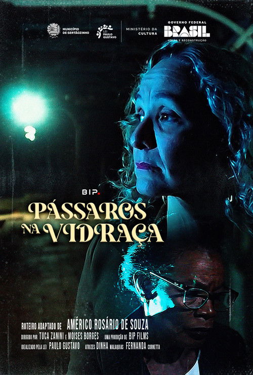 Pássaros na Vidraça (2025) poster