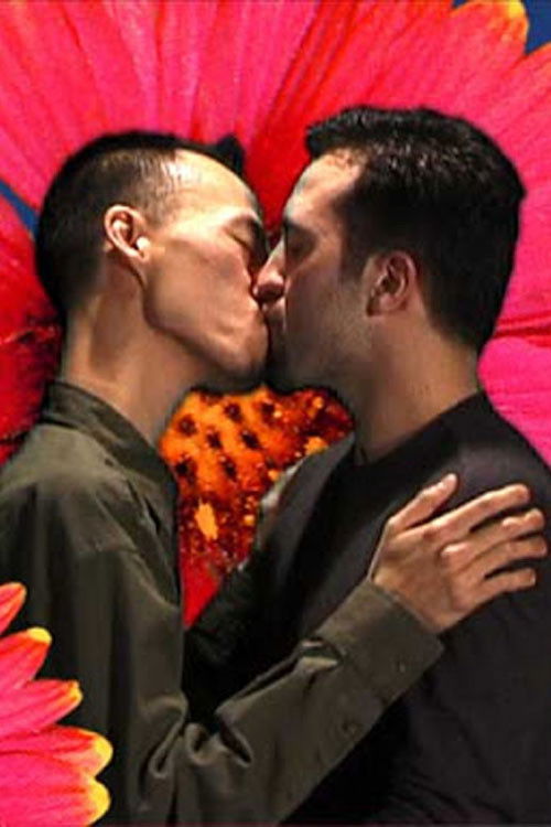 Field Guide to Western Wildflowers (2000) poster