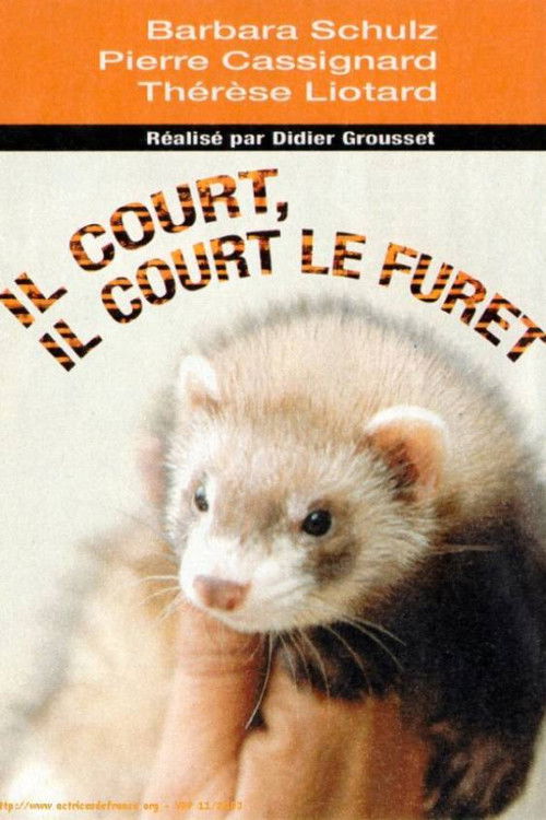 Il court, il court, le furet... (2003) poster