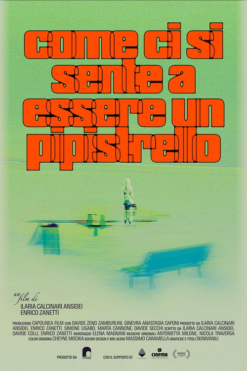 Come ci si sente a essere un pipistrello (2026) poster