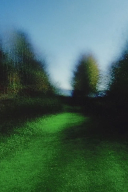 Brouillard #6 (2011) poster