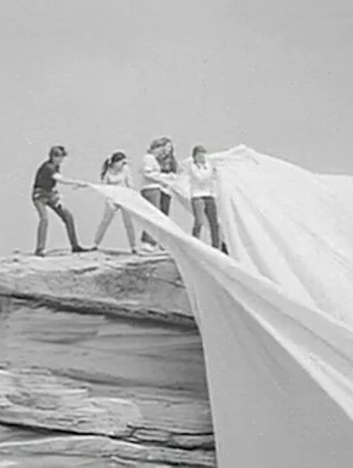 Operation Wrap Up: Christo In Australia (1969) poster