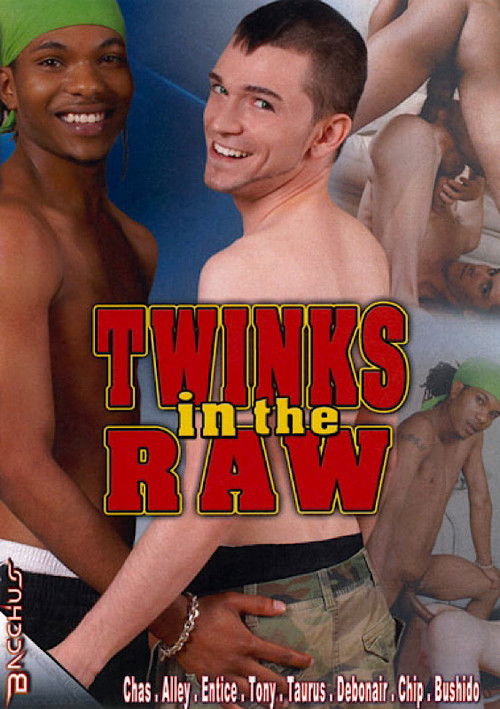 Twinks in the Raw (2013) poster