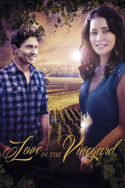Love in the Vineyard (2016) poster