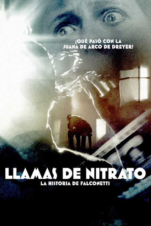 Nitrate Flames (2015) poster