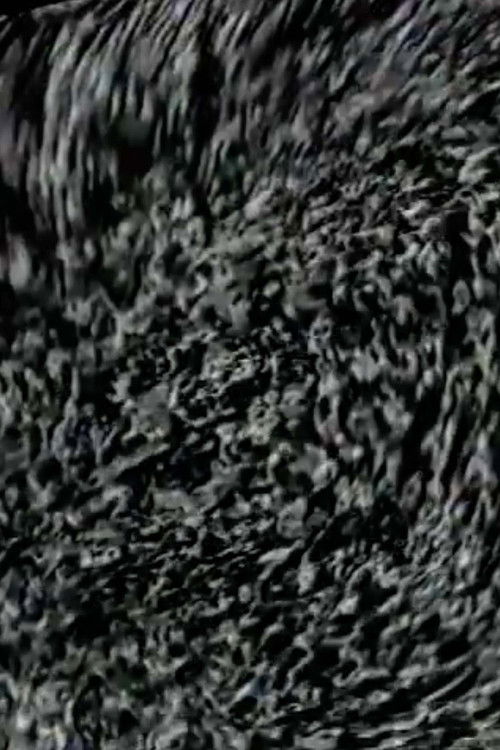 Planetopolis (1994) poster