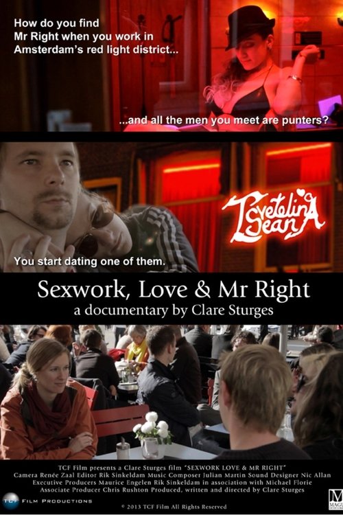 Sexwork, Love & Mr Right (2013) poster