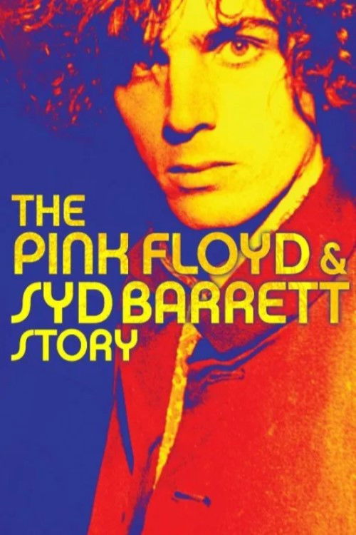 The Pink Floyd and Syd Barrett Story (2003) poster