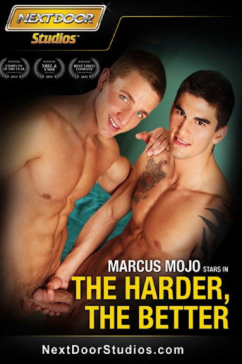 The Harder, The Better (2012) poster