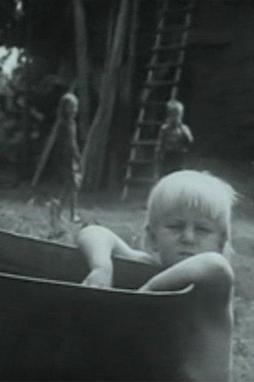 Paskutinė vienkiemio vasara (1970) poster