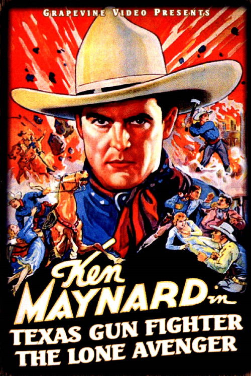 Texas Gun Fighter (1932) poster