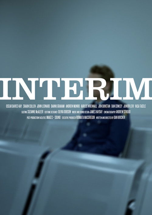 Interim (2013) poster
