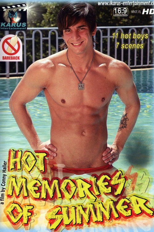 Hot Memories of Summer (2012) poster