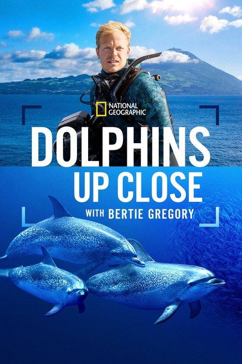 Dolphins Up Close with Bertie Gregory (2025) poster