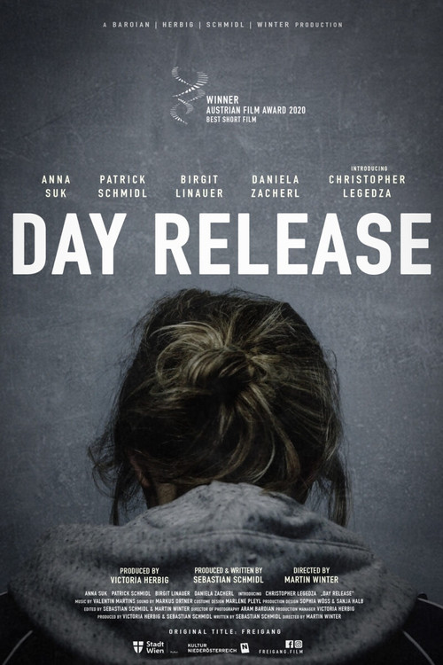 Day Release (2019) poster