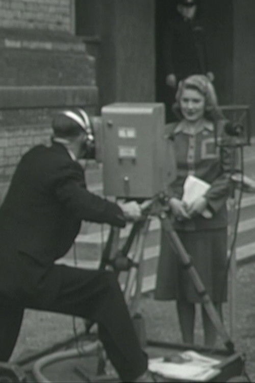 First-Year Flashbacks (1946) poster