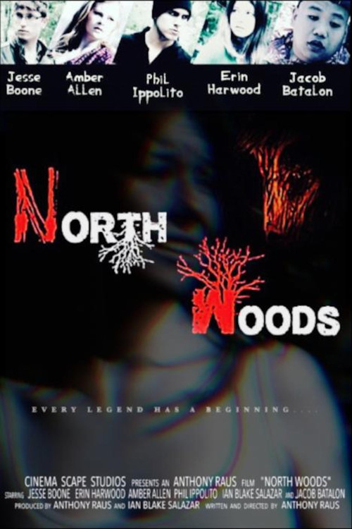 North Woods (2016) poster