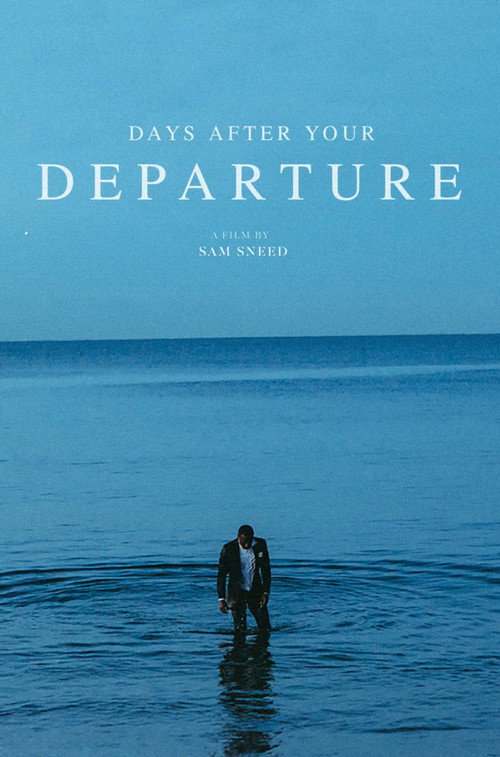 Days After Your Departure (2019) poster