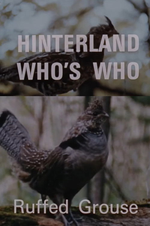 Hinterland Who's Who: Ruffed Grouse (1969) poster