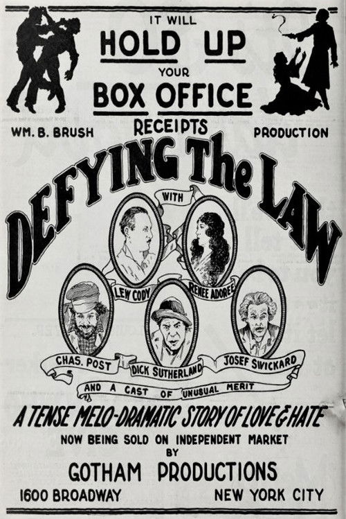 Defying the Law (1924) poster
