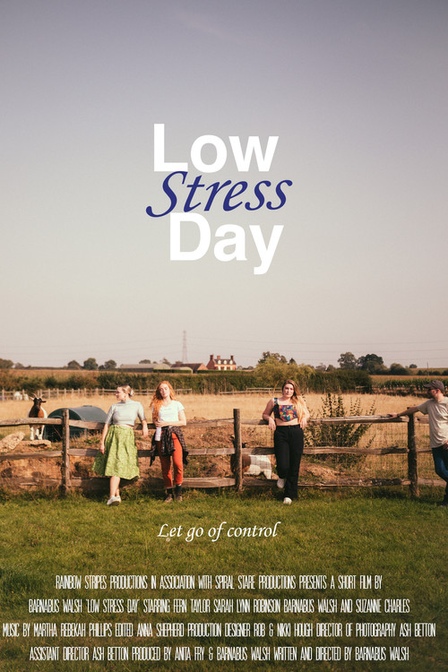 Low Stress Day (2024) poster