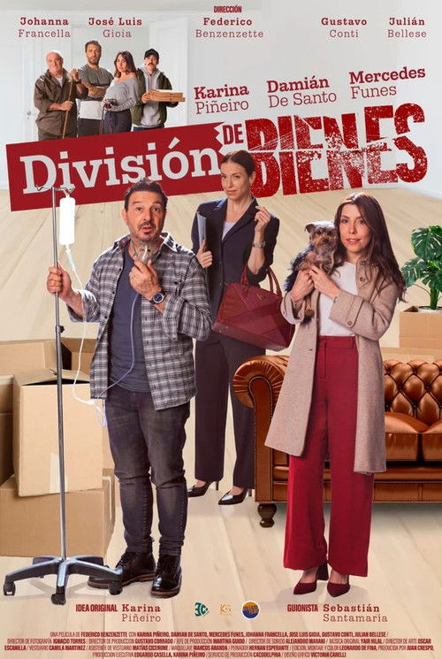 División de Bienes (2025) poster