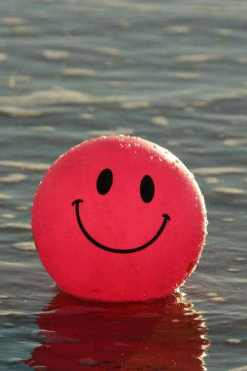 A Indústria da Felicidade poster