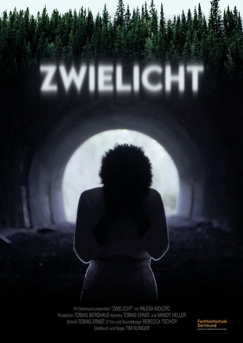 Zwielicht poster