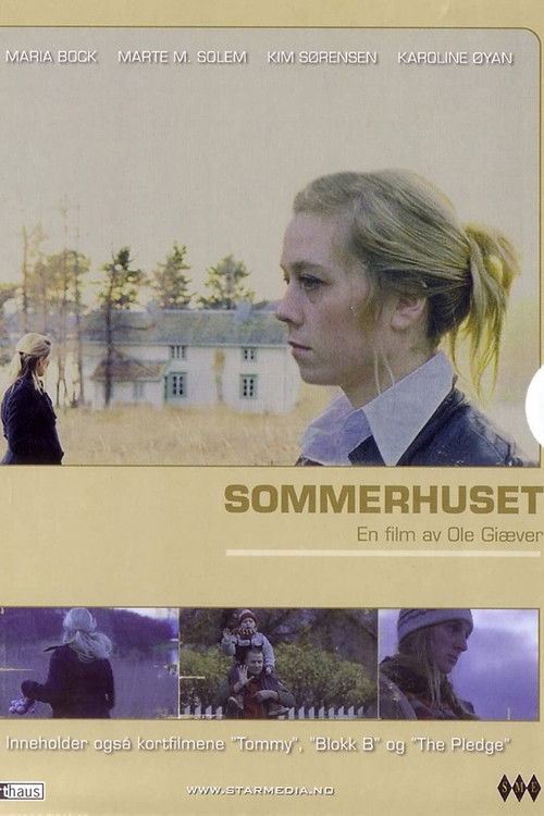 Summers Past (2008) poster