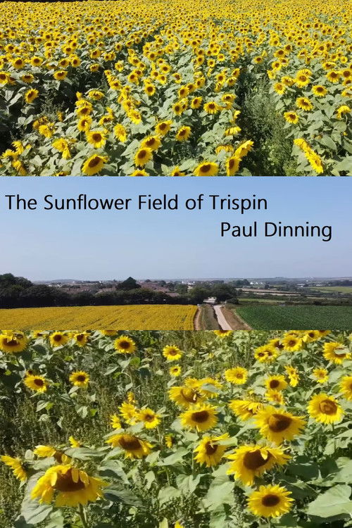 The Sunflower Field of Trispen (2020) poster