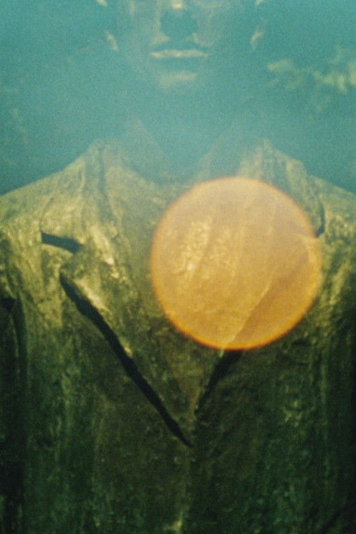 Seasonal Concerns (2024) poster