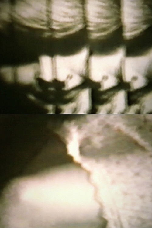 Solitudine Femminile (1967) poster